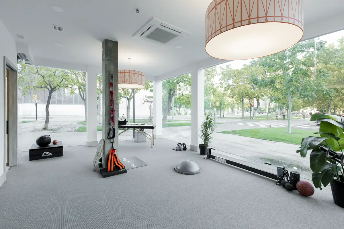 Gimnasio de Élite Fisioterapia